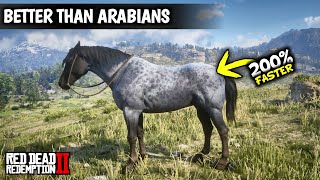 5 Horses Faster than Arabians amp Get them as Arthur Early  Red dead redemption 2 [upl. by Nosirrag259]