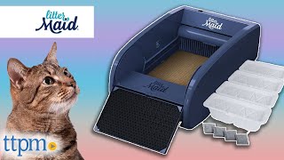 SelfCleaning Litter Box Review  LitterMaid  TTPM Pet Review [upl. by Nyloc]