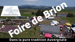 Foire traditionnelle aux bestiaux de Brion  Compains 63 dans la pure tradition Auvergnate [upl. by Yllehs]