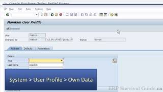 Setting up defaults in SAP [upl. by Daniele663]