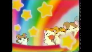 Hamtaro Rare Cartoon Network Promos [upl. by Gradey270]