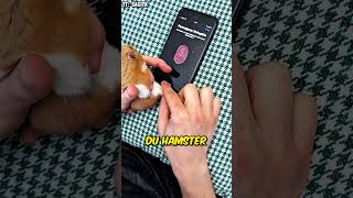 il Enregistre lEmpreinte Digitale de Son Hamster Sur Son Téléphone 🤯 [upl. by Aicella910]