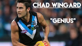 Chad Wingard quotGeniusquot [upl. by Nyladnewg]