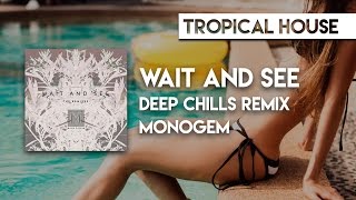 Monogem  Wait And See Deep Chills Remix [upl. by Aynad]