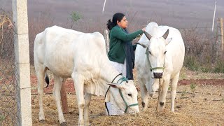 Farm Living with SaradaampGangaB Like Bindu [upl. by Mcfadden32]