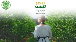 Agricultura Regenerativa Sexta clase 🌿 [upl. by Sicard745]