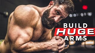 How To Get BIG ARMS FAST With Dumbbells Sets amp Reps [upl. by Helms219]