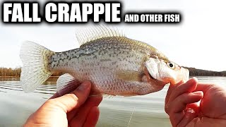 River Fishing GIANT Fall Crappie [upl. by Rayford]