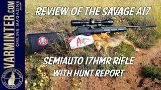 Review of the Savage A17 Semi Auto 17HMR Rifle with Hunt Report [upl. by Myrtie]