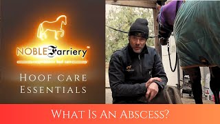 Hoof Care Essentials What Is An Abscess [upl. by Atsillak]