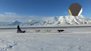 Eventyrlig Oppussing på Svalbard [upl. by Asum]