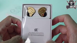 KZ ZSN Pro X Review [upl. by Canice]