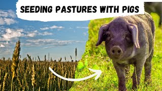 Pasture Perfect Pigs at Scale 400 [upl. by Joella]