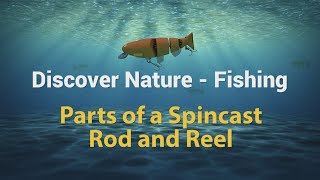 How to Fish  Using a Spincast Reel [upl. by Llenwahs]