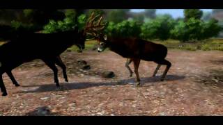 Cabelas Outdoor Adventures 2010  Walkthrough HD  Kansas 4 [upl. by Relyks236]