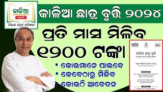 Kalia Scholarship 2024 Apply  Kalia Yojana Money  Kalia Chhatra Bruti 2024  Odisha Scholarship [upl. by Andryc]