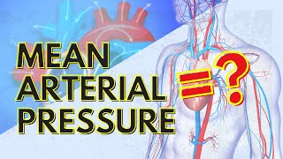 Blood Pressure and Mean Arterial Pressure [upl. by Ritz519]