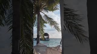 OZEN LIFE MAADHOO travel luxuryresort vacation maldives beach [upl. by Baggs195]