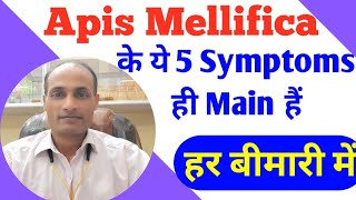 apis mellifica homeopathic medicine  apis mellifica 200 30 30ch dosage amp uses in hindi [upl. by Rick15]