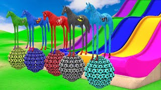 Red Horse Spiderman Crossing On Shark Bridge Spiders With Rainbow Horse Rescue Baby Animals Game [upl. by Thury]