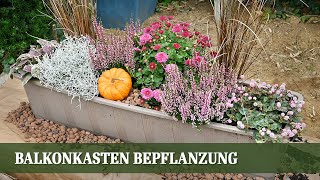 Balkonkasten Bepflanzung für den Herbst [upl. by Winou143]