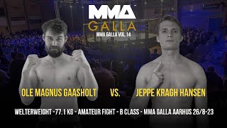 Ole Magnus Gaasholt Larvik Combat Center Vs Jeppe Kragh Hansen Great Danes Fight Club [upl. by Eimarej636]