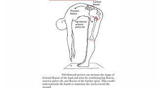 LumboPelvic Rhythm [upl. by Modestine]