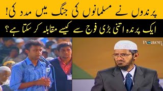 How Birds Help The Muslims At The Time Of War  Dr Zakir Naik [upl. by Coyle]