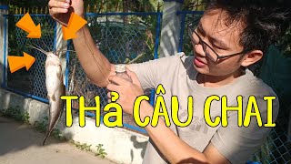 Thả câu chai nhựa bằng mồi dế và trùng siêu nhạy  Săn bắt miền tây [upl. by Htaek]