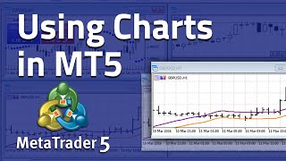 How to use Charts in MetaTrader 5 [upl. by Ahtibat288]