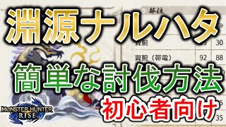 【MHRise】淵源ナルハタ簡単攻略方法を解説！ラスボスの倒し方 初心者必見【モンハンライズ】【サンブレイク】 [upl. by Maggee]