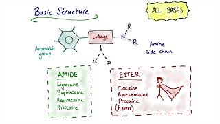 Local Anaesthetic Agents [upl. by Nicoli]