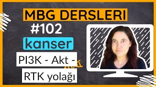 Kanser PI3K  Akt  RTK yolağı [upl. by Llehctim]