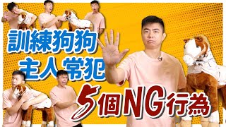 這樣做母湯！訓練狗狗主人最常犯的5個NG行為！5 Most Common Dog training Mistakes｜熊爸估狗 [upl. by Dlorag568]