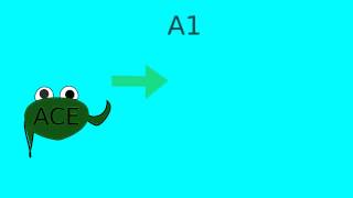 How does lisinopril or ACE inhibitors work [upl. by Fredie]