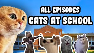 FIRST DAY AT SCHOOL CAT MEME COMPILATION [upl. by Eillod]