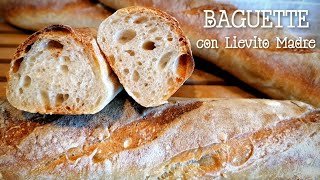 BAGUETTE con Lievito Madre [upl. by Ahsikrats]