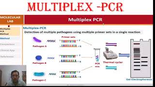 Multiplex PCR mechanism application advantages and disadvantages [upl. by Red]