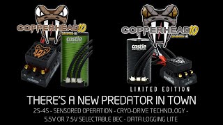 Announcing COPPERHEAD 10 PERFORMANCE 110TH SCALE SENSORED ESC [upl. by Baxter]