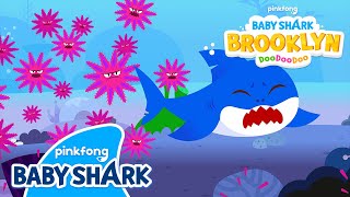 EP11 SOS CrownofThorns Starfish  Baby Shark Brooklyn Animation  Baby Shark Official [upl. by Eulalia897]