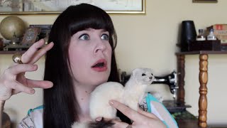 Ask a Mortician Human Taxidermy [upl. by Drona]