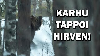 KARHU TAPPOI HIRVEN [upl. by Hadria]