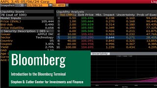 Introduction to the Bloomberg Terminal [upl. by Makell]