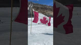 Columbia Icefields Jasper National Park jaspernationalpark iceexplorer glacier travel canada [upl. by Murrah]