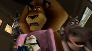 MADAGASCAR 3  Los Fugitivos  Clip Persecución [upl. by Lavicrep684]