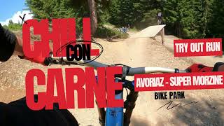 Chill Con Carne  Avoriaz  Super Morzine  Chatel  bike park [upl. by Weld]