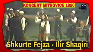 Koncerti ne Mitrovice 1990  Shkurte Fejza amp Ilir Shaqiri etj [upl. by Lauralee744]