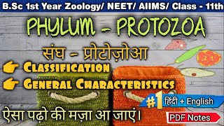 Phylum Protozoa Classification and General Characteristics in Hindi  प्रोटोजोआ लक्षण एवं वर्गीकरण [upl. by Latton]