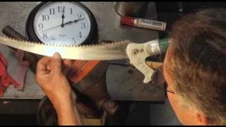 Pole Saw Blade Maintenance  Prune Like a Pro [upl. by Nilyak]