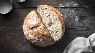 The Easiest NoKnead Whole Wheat Bread [upl. by Ayahsey]